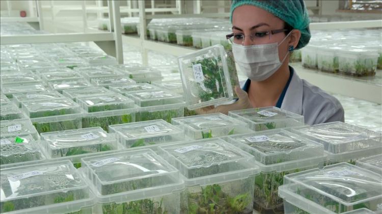 Tekfen Tarım’ın Adana Agripark Ar-Ge Merkezi sıfır atık belgesi aldı