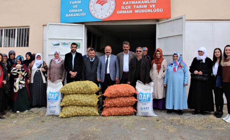 Kadın çiftçilere patates tohumu ve gübre dağıtıldı